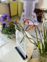 -JNK皮肤管理中心