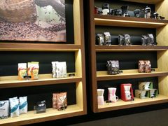 -星巴克(西藏路店)