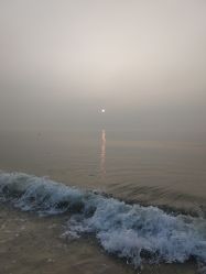 -玛莲朵·海菲秀冰珀科