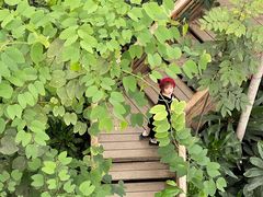 -郑州植物园