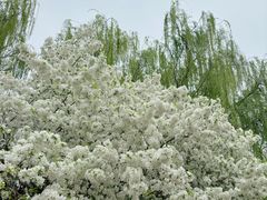 -元大都城垣遗址公园