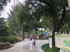 -青年湖公园水上世界