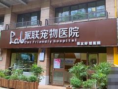 -派联宠物医院·24h·CT·异宠