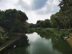 -大兴滨河森林公园