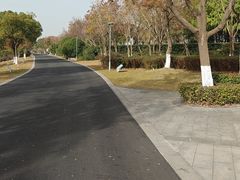 -江滩湿地公园