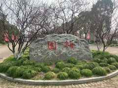 -上海海湾国家森林公园