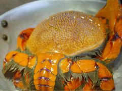 -天天海鲜城·海鲜大排档(新溪店)