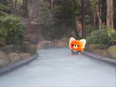 -融汇温泉