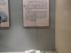 -辽宁古生物博物馆