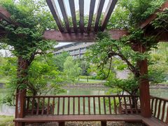 -上海月湖雕塑公园