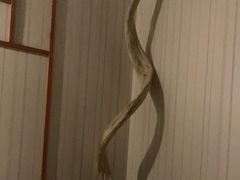 -Together·泰式按摩精油SPA(虹桥店)