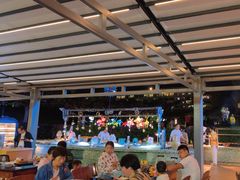 -渔家火锅·海鲜自助餐·演艺(亚龙湾天域酒店)