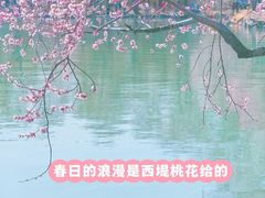 -颐和园