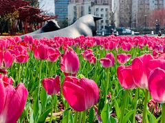 景点-静安雕塑公园