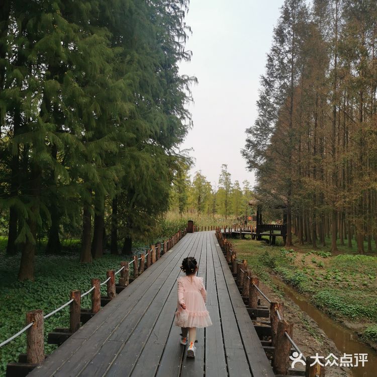 上海最不适合溜娃的公园[流泪]
