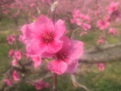 -永和红旗美食城