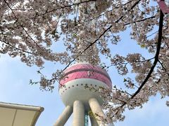 -东方明珠广播电视塔