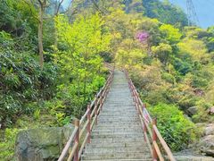 -灵溪风景区