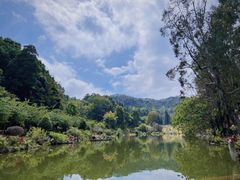 -深圳仙湖植物园