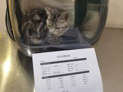 -米苏动物医院·犬猫专科·骨科外科内窥镜