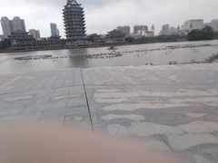 -眉山湿地公园(东坡区)