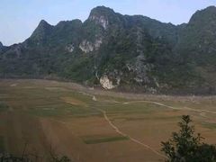 -南宁良凤江国家森林公园