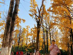 -两江幸福广场