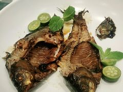 -紫光园·烤鸭·北京菜(劲松店)