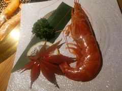 阿根廷红虾-江户烧肉(高德店)