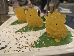 -金龙寨(龙城路店)