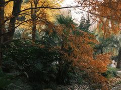 -苏州河梦清园环保主题公园