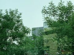 -凯德MALL(望京店)
