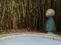 -森波拉火山温泉