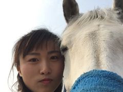 -月河湾马术俱乐部(朝阳店)