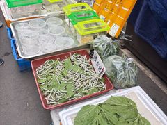 -苏州市皮市街花鸟工艺品市场