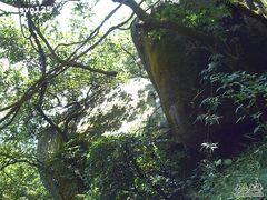 -广州市帽峰山景区