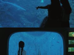 -江和美海洋公园