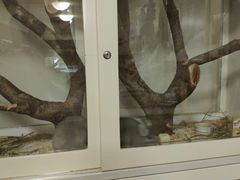 -龙猫仔乐园(惠福东路店)