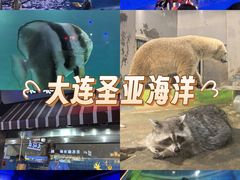 -大连圣亚海洋世界