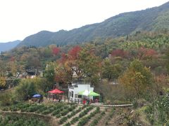 -塔川景区