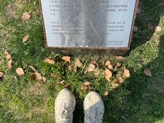 -上海月湖雕塑公园
