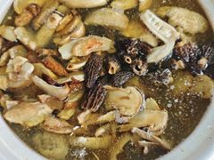 -蘑统田下·野生菌火锅