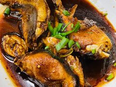 红烧鲃鱼-观桥阁(锦溪店)