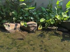 -中国湿地博物馆