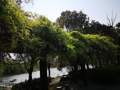 -苏州金鸡湖大酒店