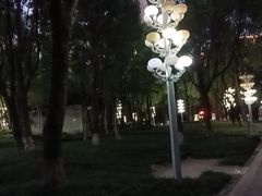 -重庆市江北嘴中央商务区中央公园