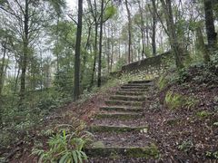 -铁山坪森林公园