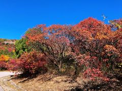 -北京西山国家森林公园