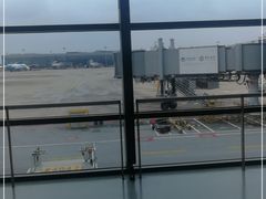 -虹桥机场国航贵宾室v8