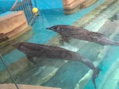 -波塞冬旅游度假区